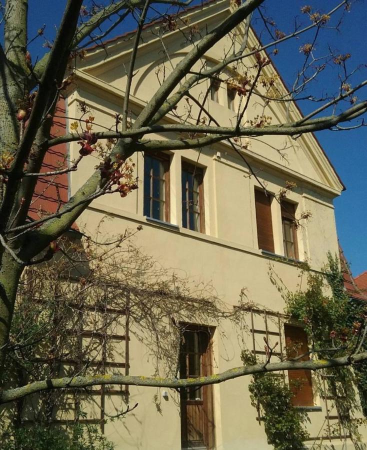 Haus Schmeile Магдебург Екстериор снимка